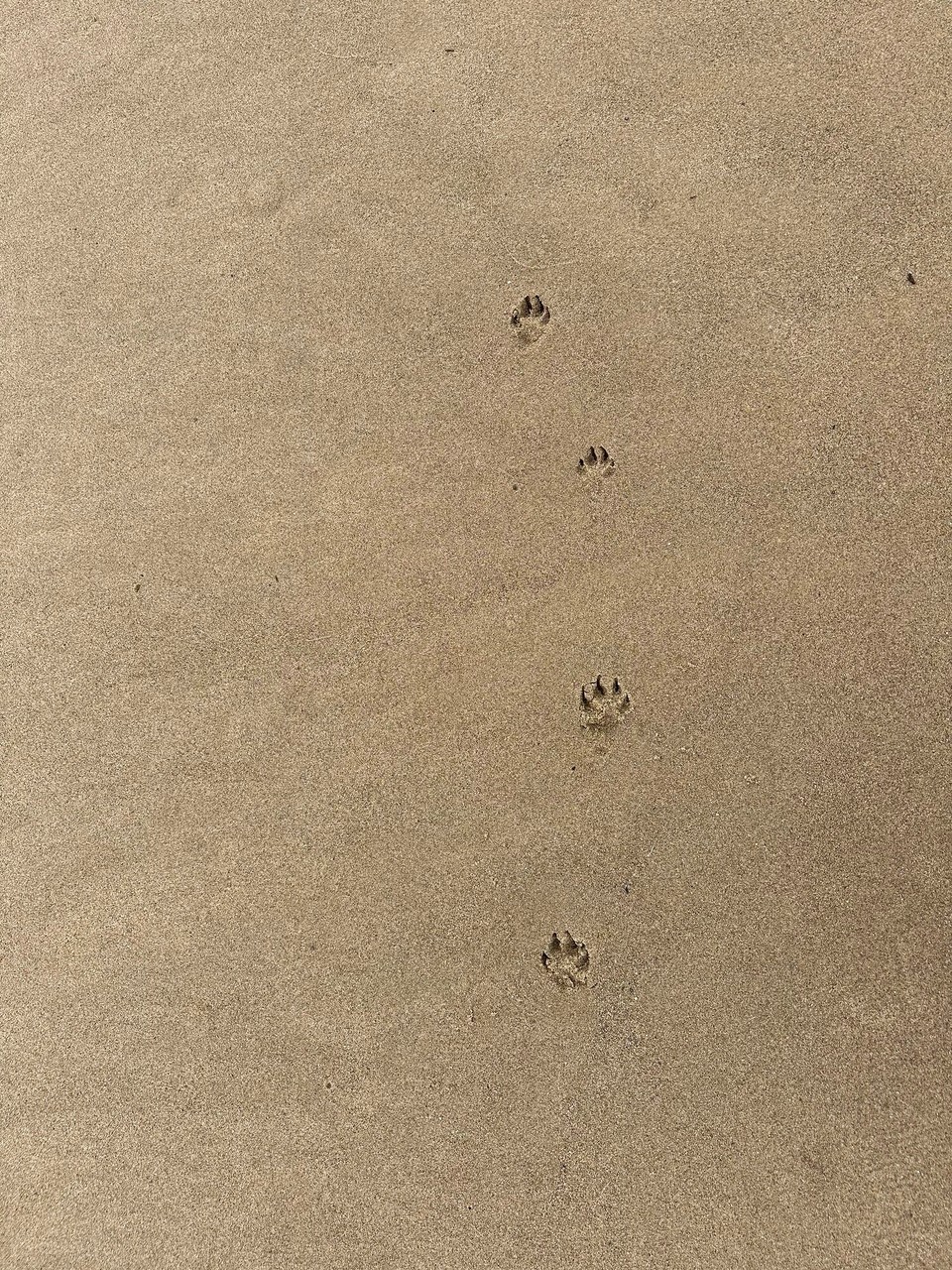 Portugal - Aljezur - 