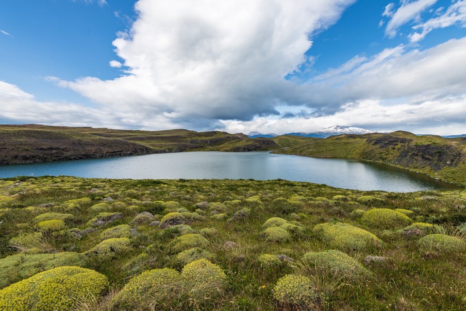 Chile - Torres del Paine - 