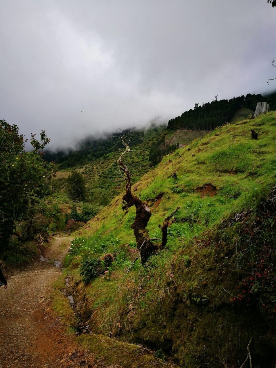 Costa Rica - San José - 
