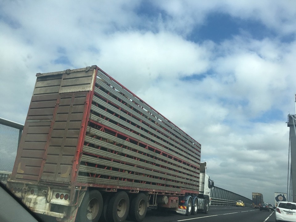 Australien - Apollo Bay - Bääägu - Transport