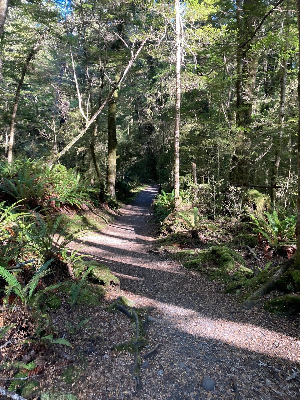 Neuseeland - Fiordland National Park - Was für ein schöner Weg 😃