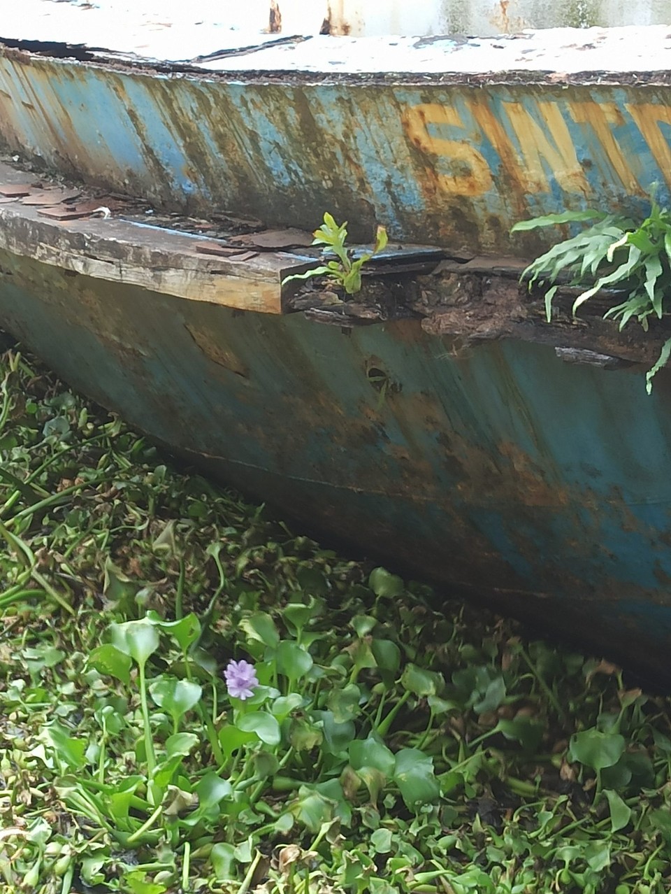 Indien - Kochi - 