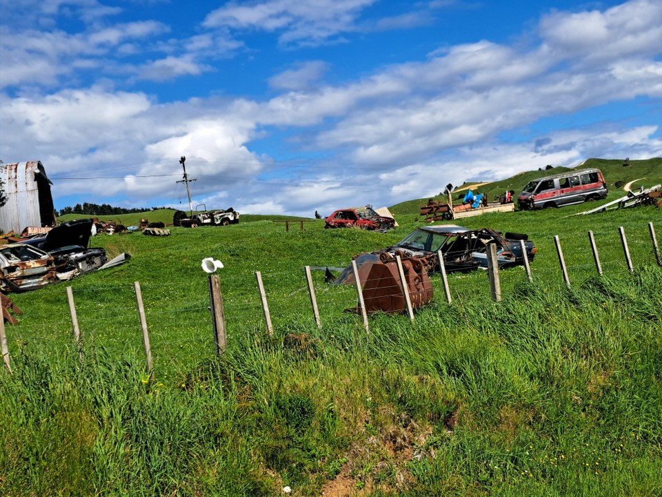 Neuseeland - Pirongia - Solches sieht man öfter 