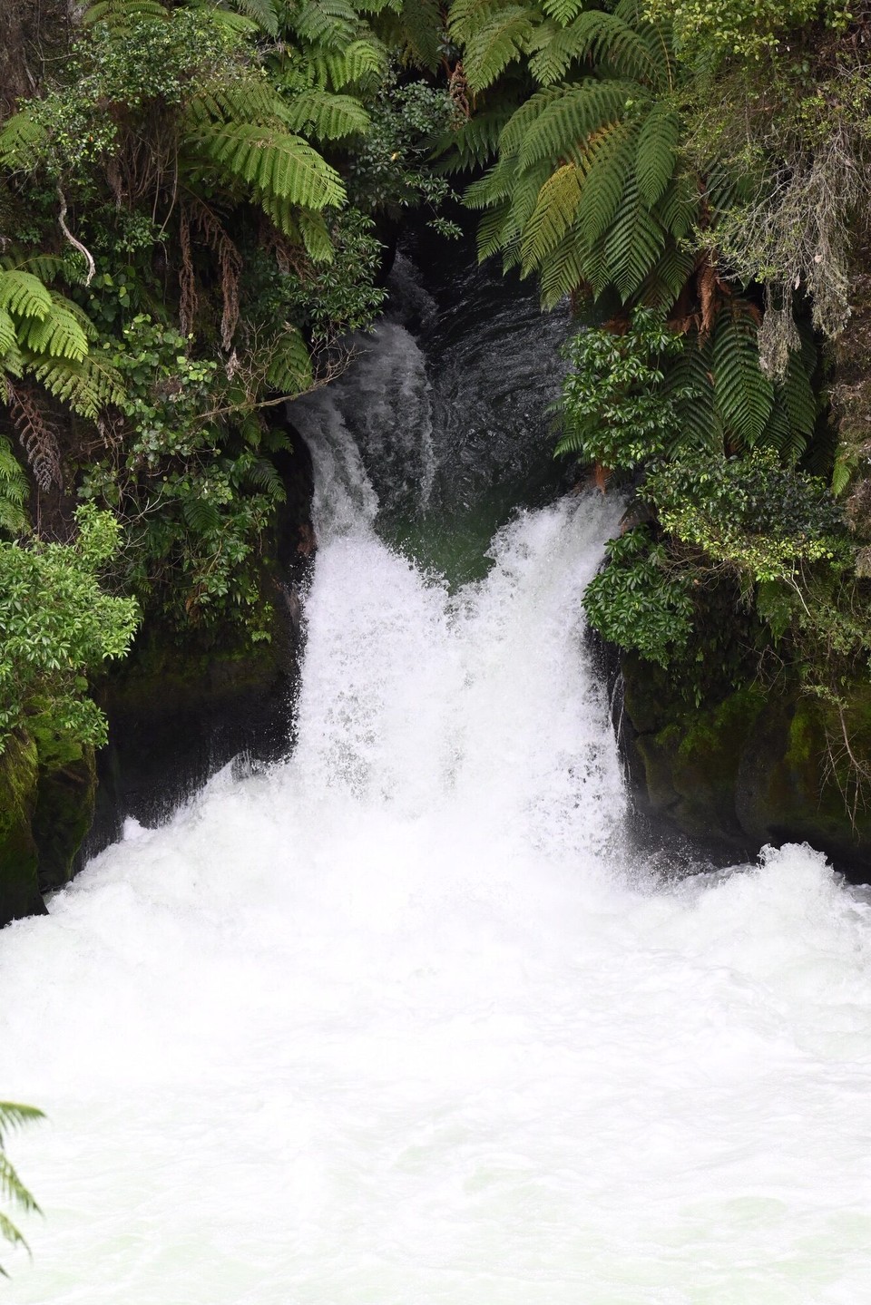 Neuseeland - Rotorua - Höchster raftbarer Wasserfall Neuseelands: Tutea Falls mit 7 Metern Höhe