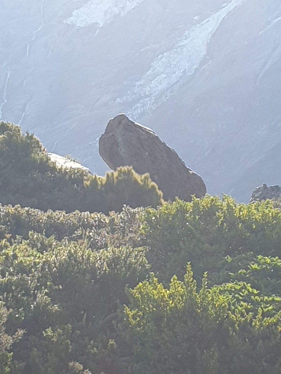 Neuseeland - Aoraki - 