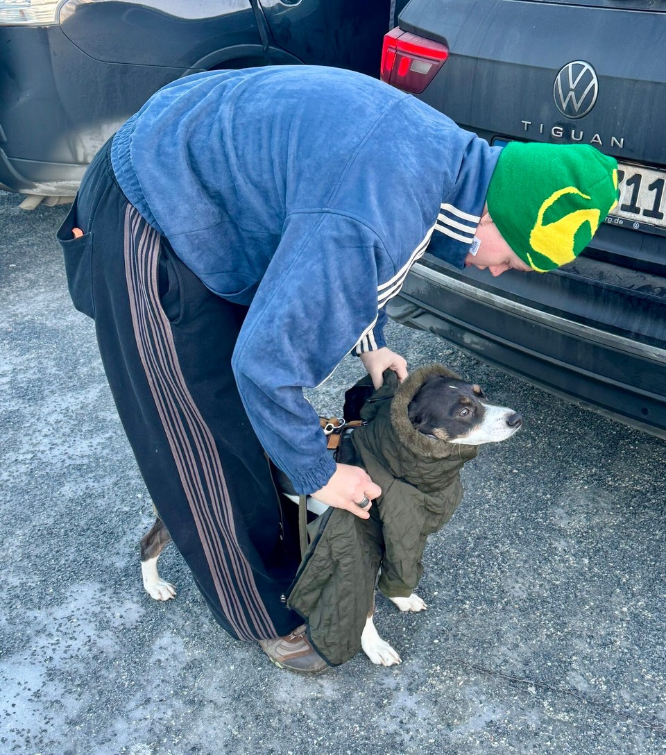 Norwegen - Øyer - Antüddeln …