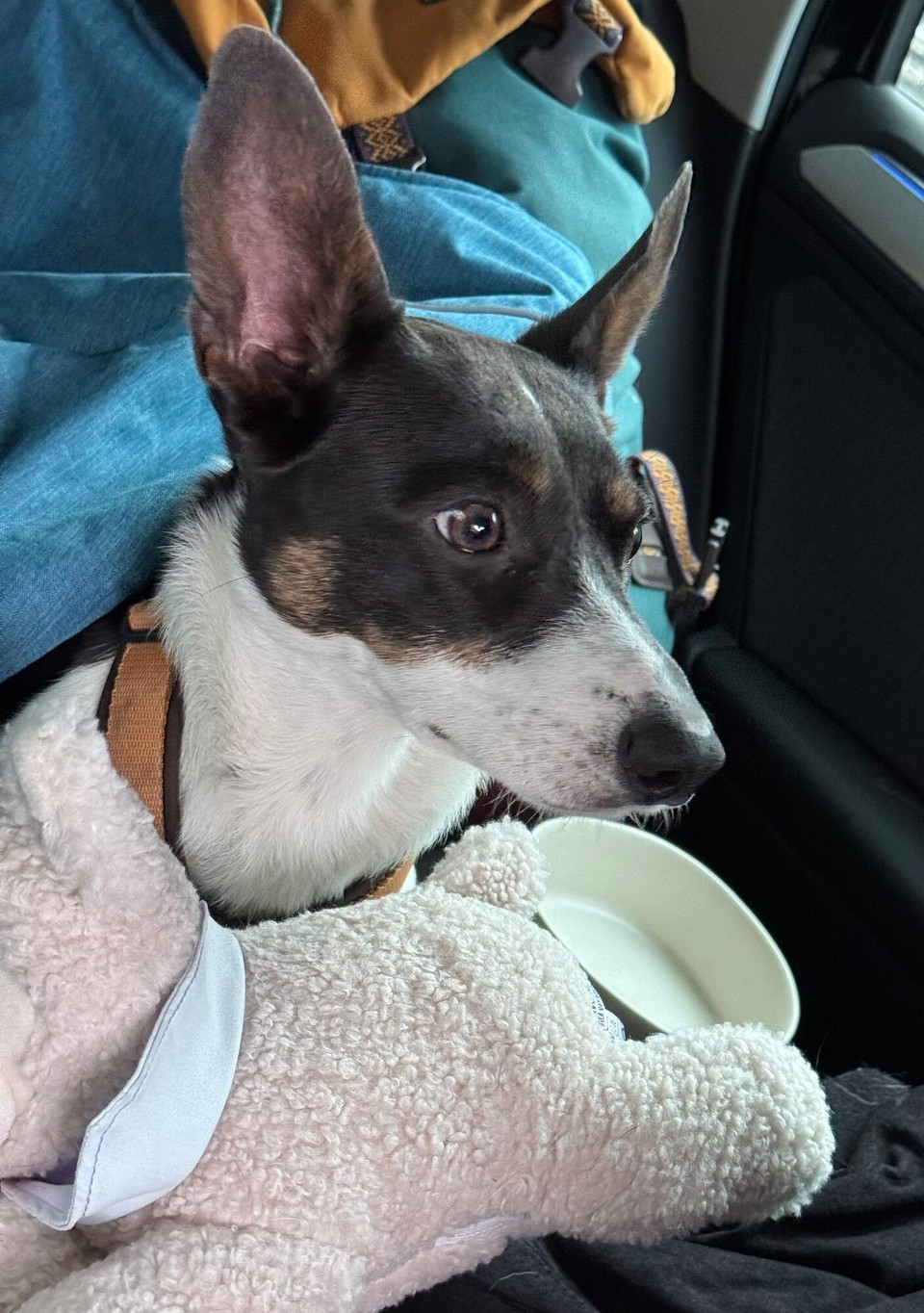 Schweden - Getinge - Ganz unschuldig nach dem Zerfleddern der Schoki