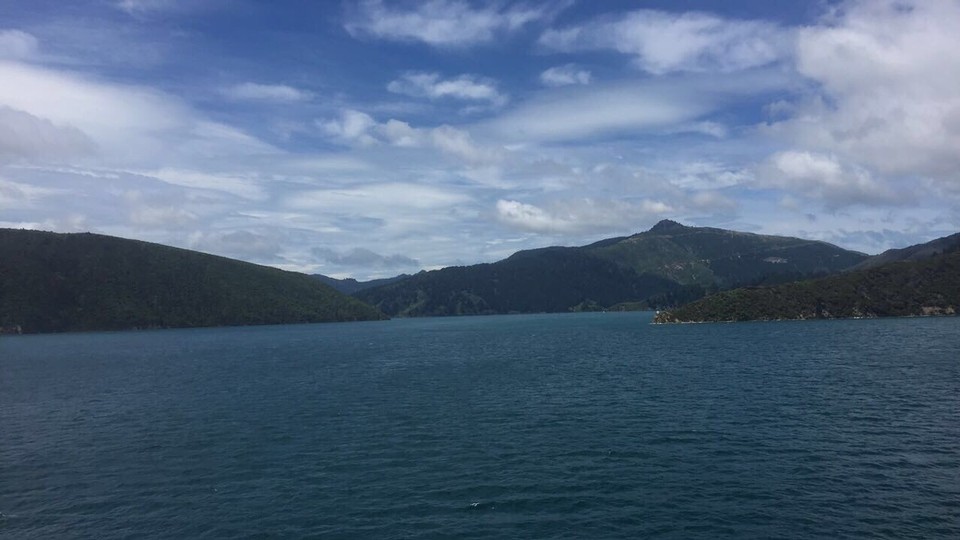 New Zealand - Picton - 