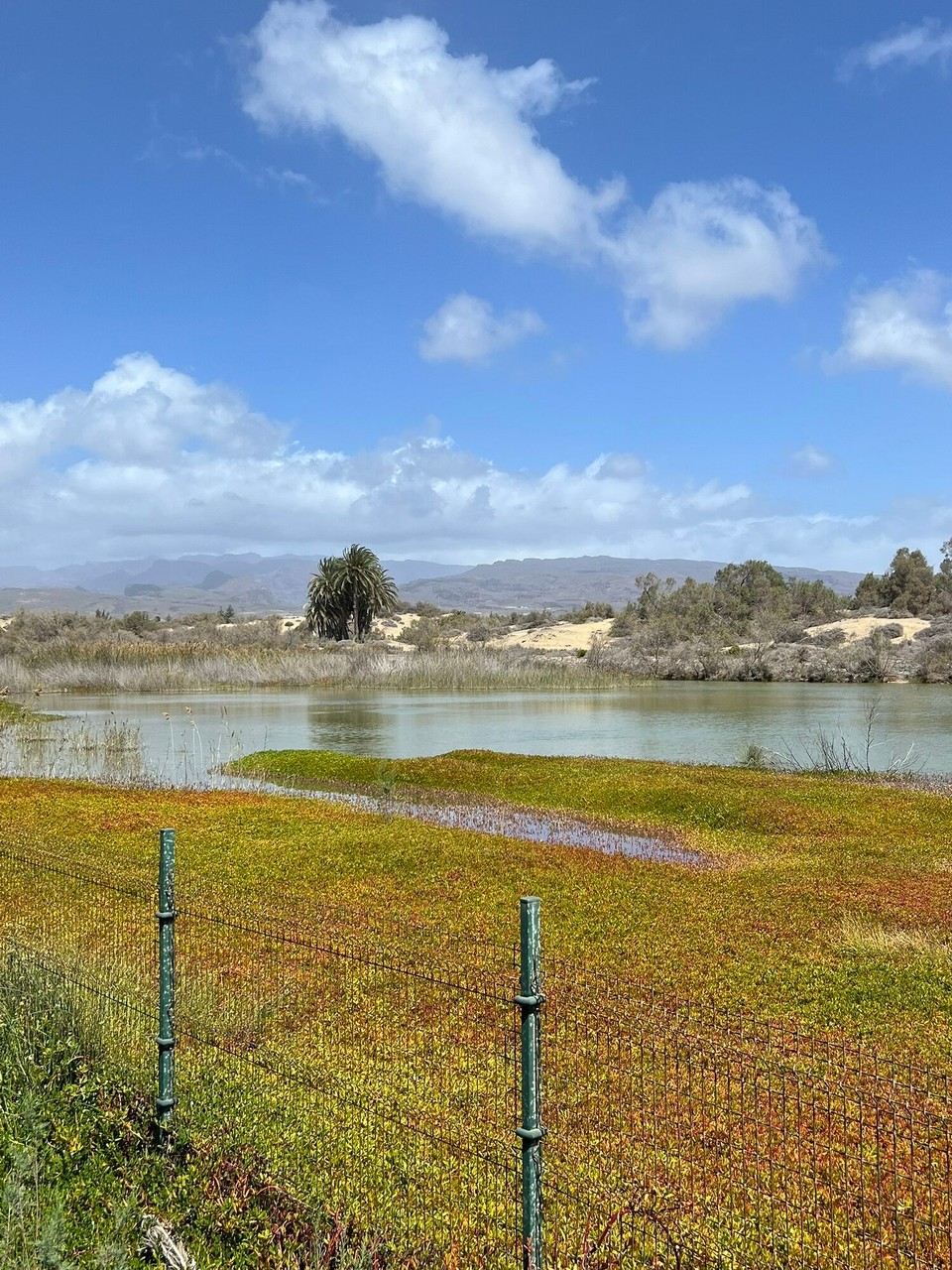Spanien - Las Palmas de Gran Canaria - 