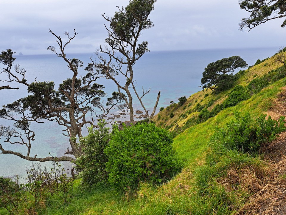 Neuseeland - Mangawhai - 