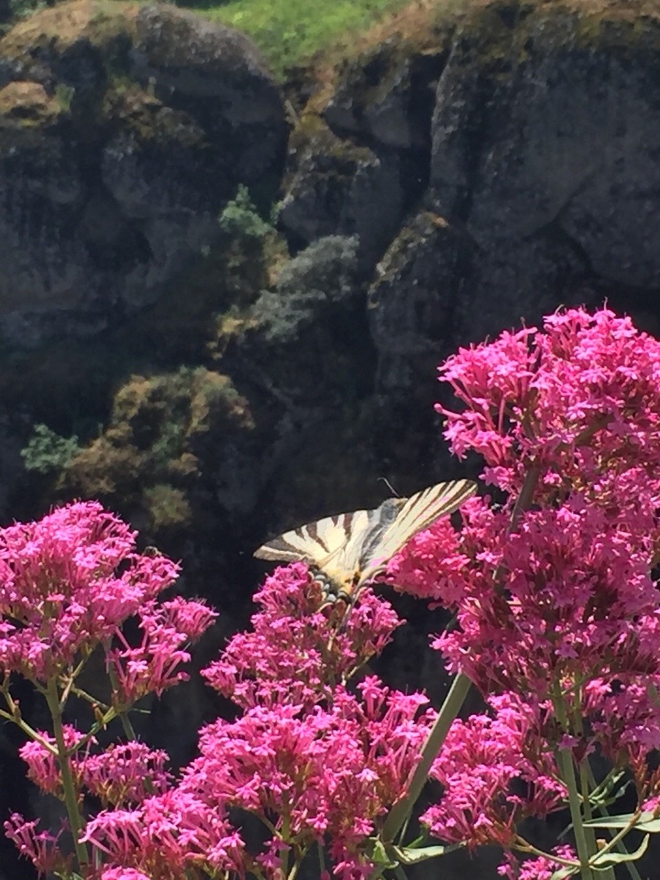 Griechenland - Trikala - 