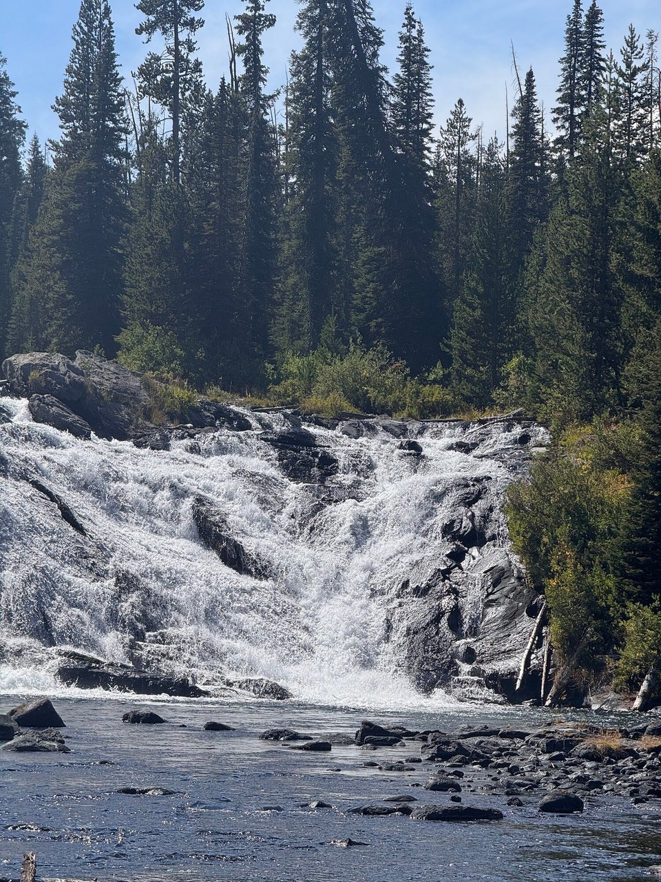 Vereinigte Staaten - Yellowstone National Park - 