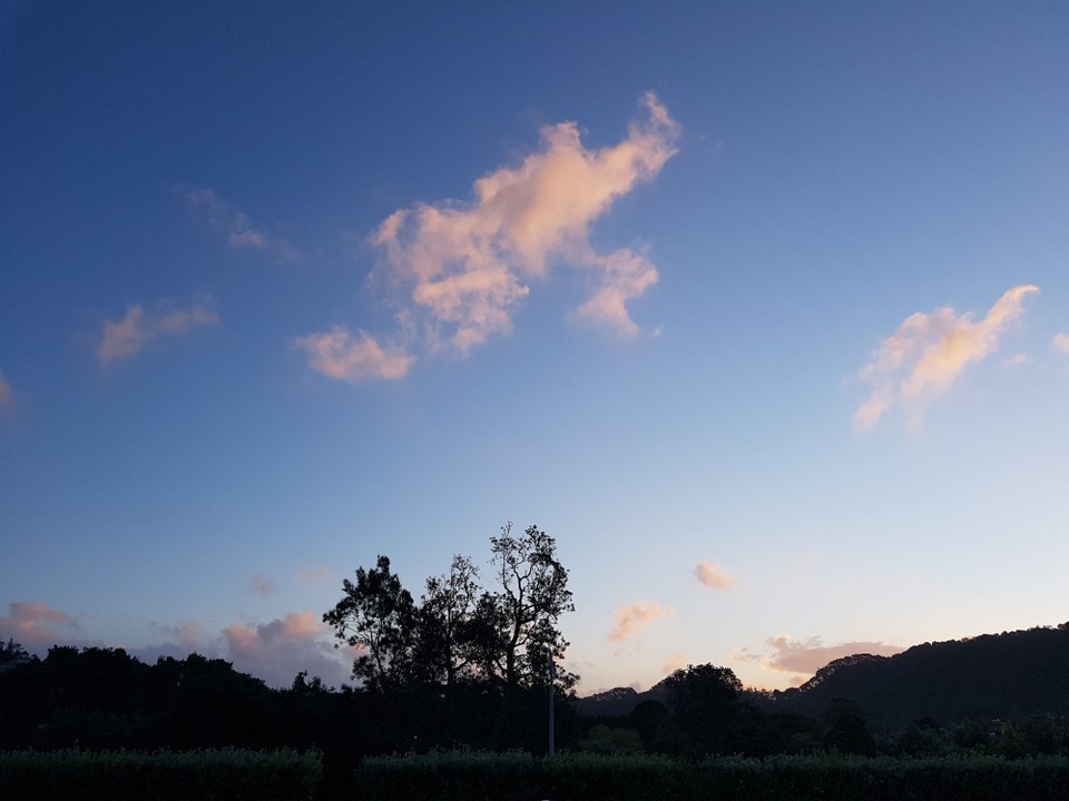 Neuseeland - Hahei - 