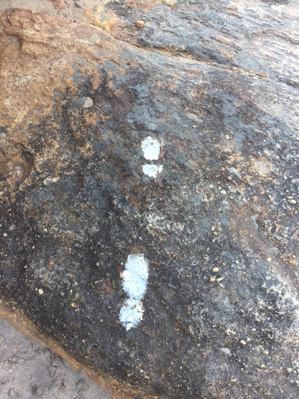 Südafrika - Clanwilliam - Fussmarkierung