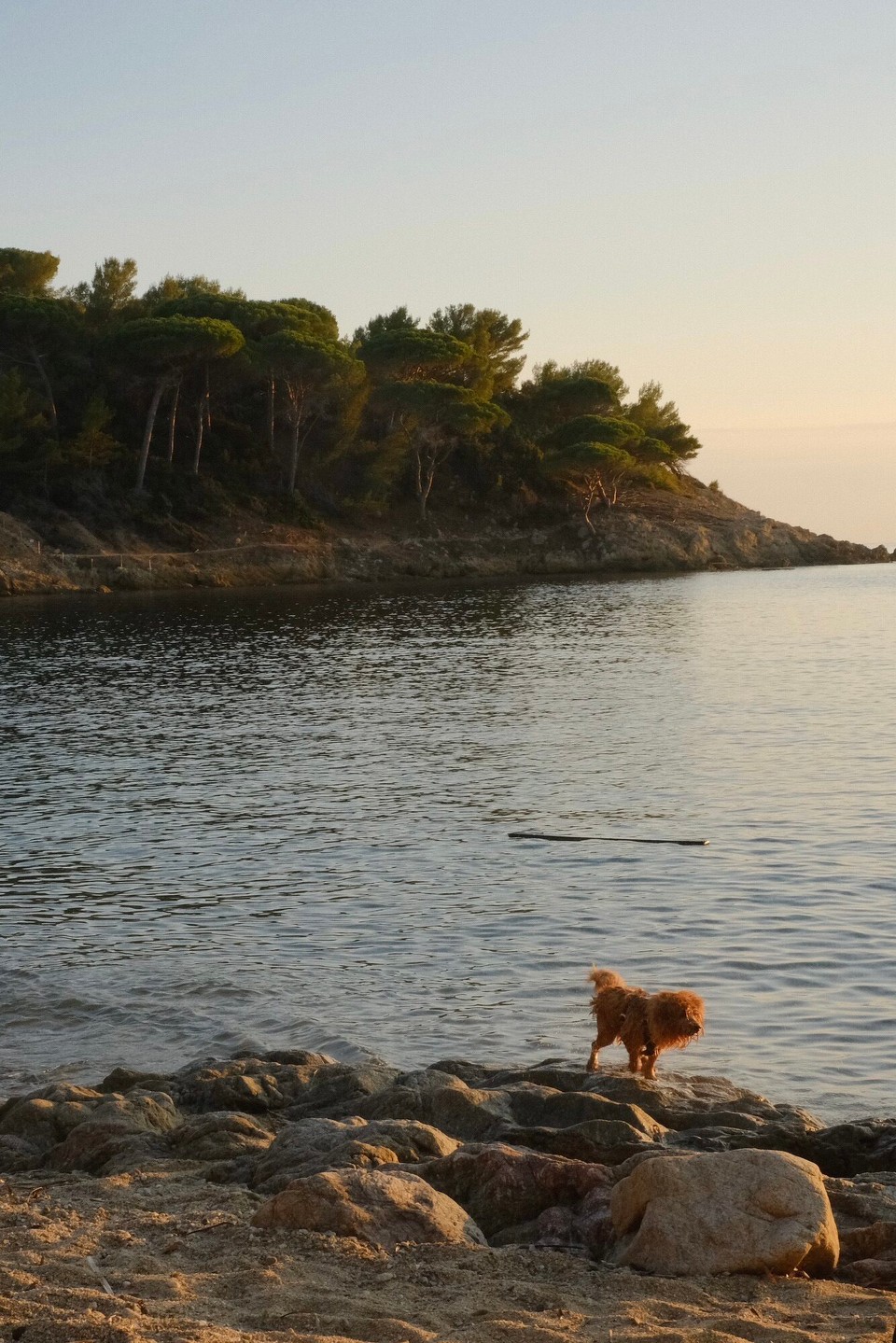 Frankreich - La Croix-Valmer - 