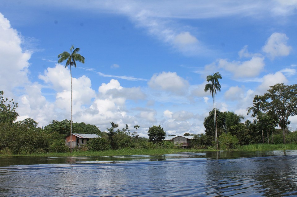 unbekannt - Rio Javari - 
