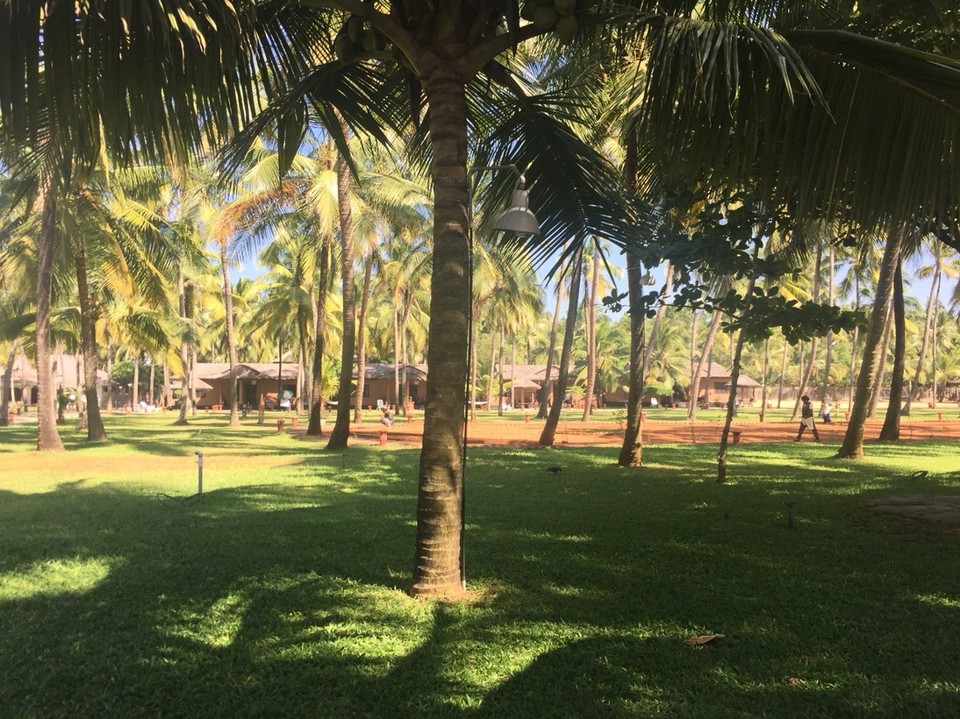 Indien - Guruvayoor-Manattala-Perakam-Edakkazhiyur - 