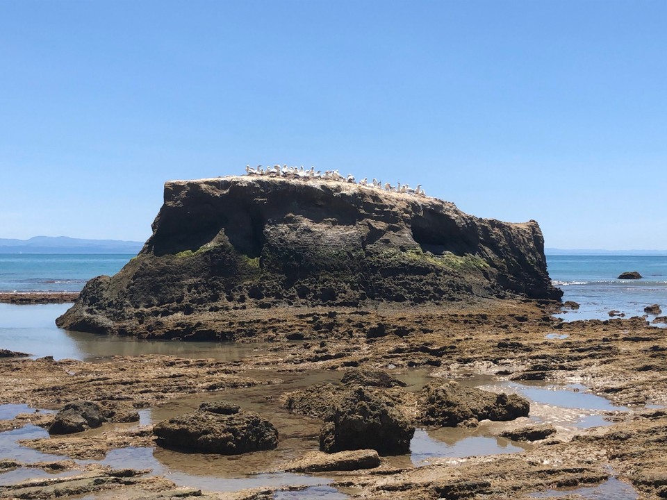 Neuseeland - Clifton - 