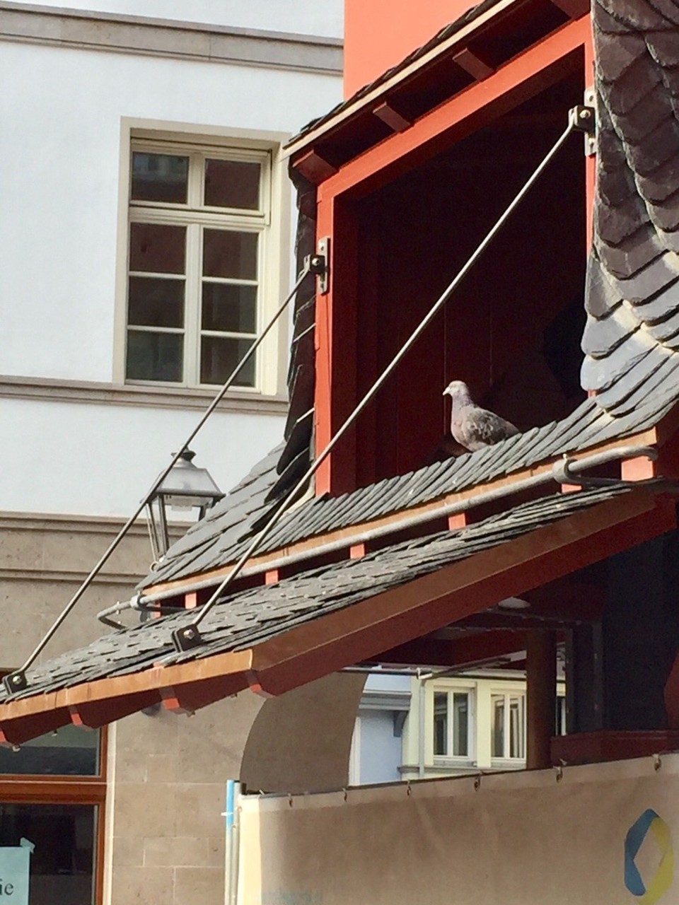 Deutschland - Frankfurt am Main - Sie bezieht schon eine neue Wohnung :)
