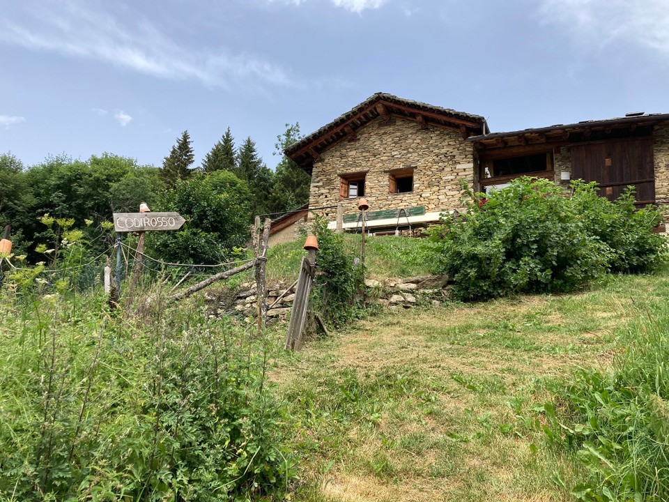 Italien - Stroppo - Codirosso in Sicht