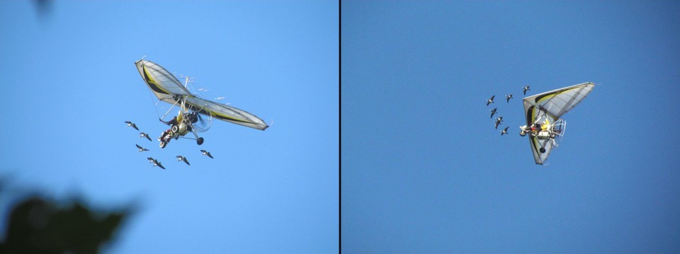 Frankreich - Doussard - Jeden Morgen flog ein motorisierter Drachenflieger mit den Gänsen über den See.
