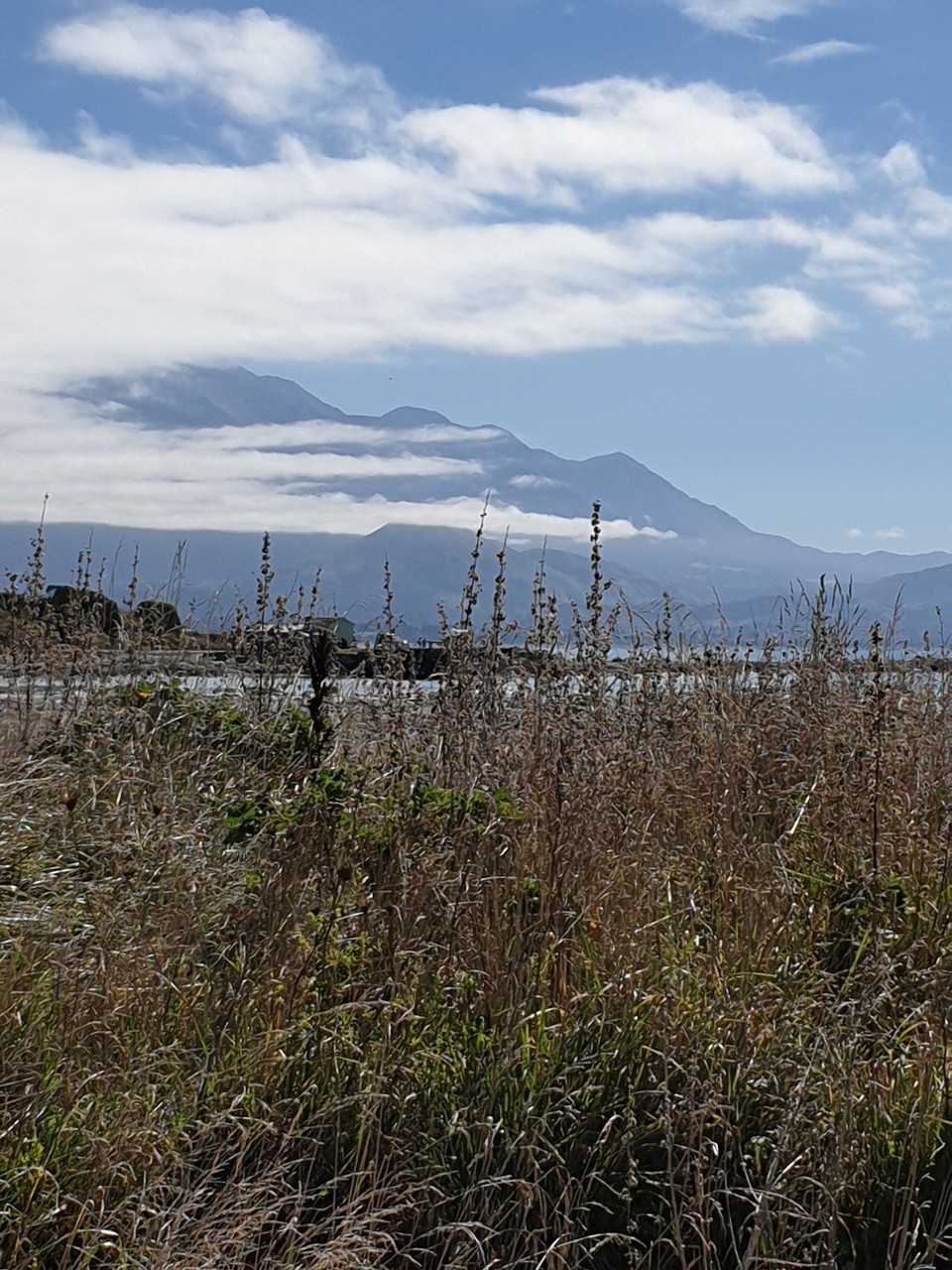 Neuseeland - Kaikoura - 