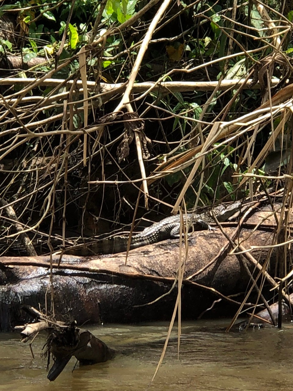 Costa Rica - Pococí - 