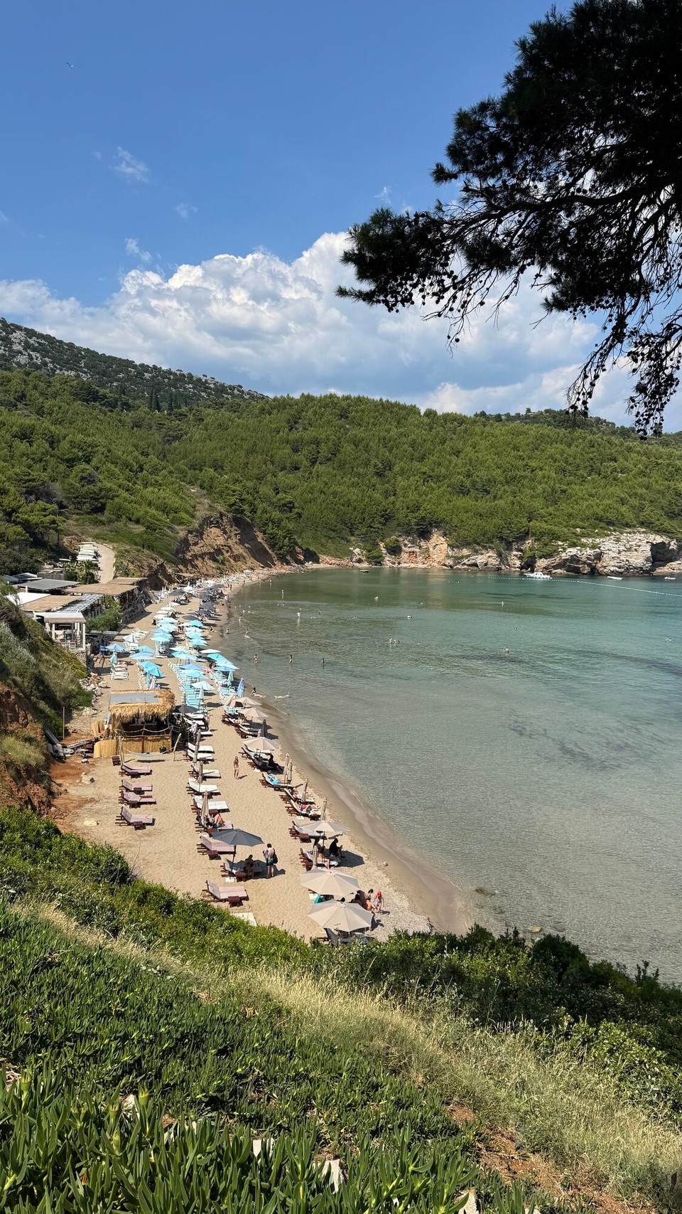 Kroatien - Dubrovnik - Zwischenstopp am Sandstrand von Sunj auf der Insel Lopud, wo wir nach der Höhlenerkundung etwas Zeit zum Entspannen hatten. In einer Bar auf der Klippe, waren wir etwas essen und trinken.