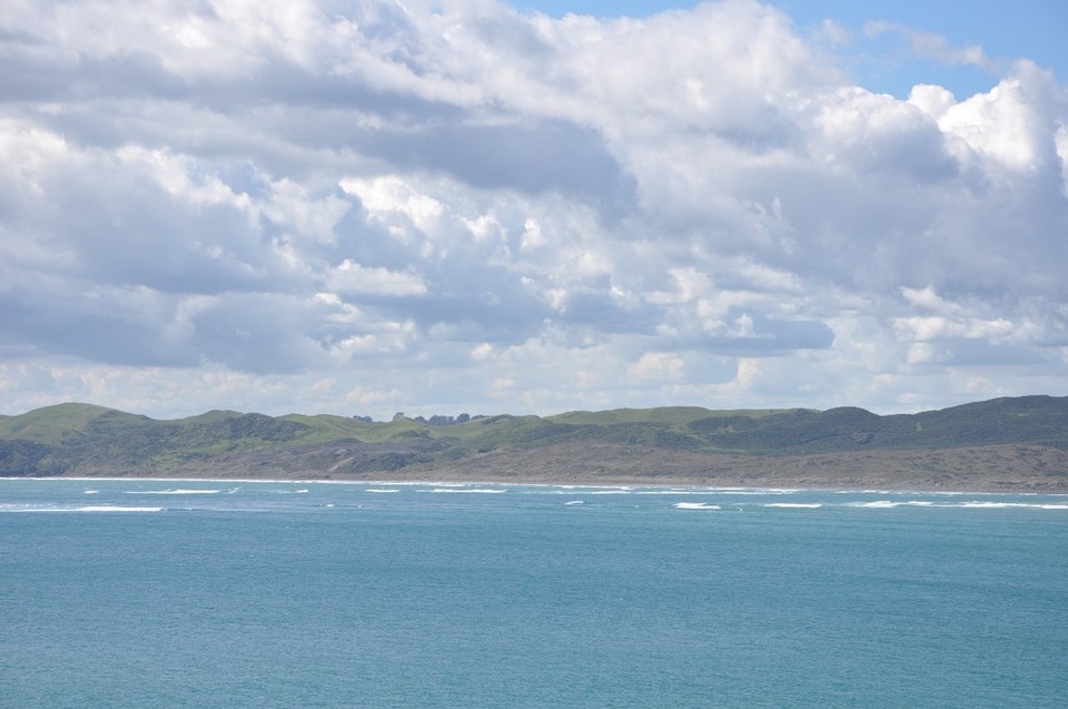 Neuseeland - Waitomo - 