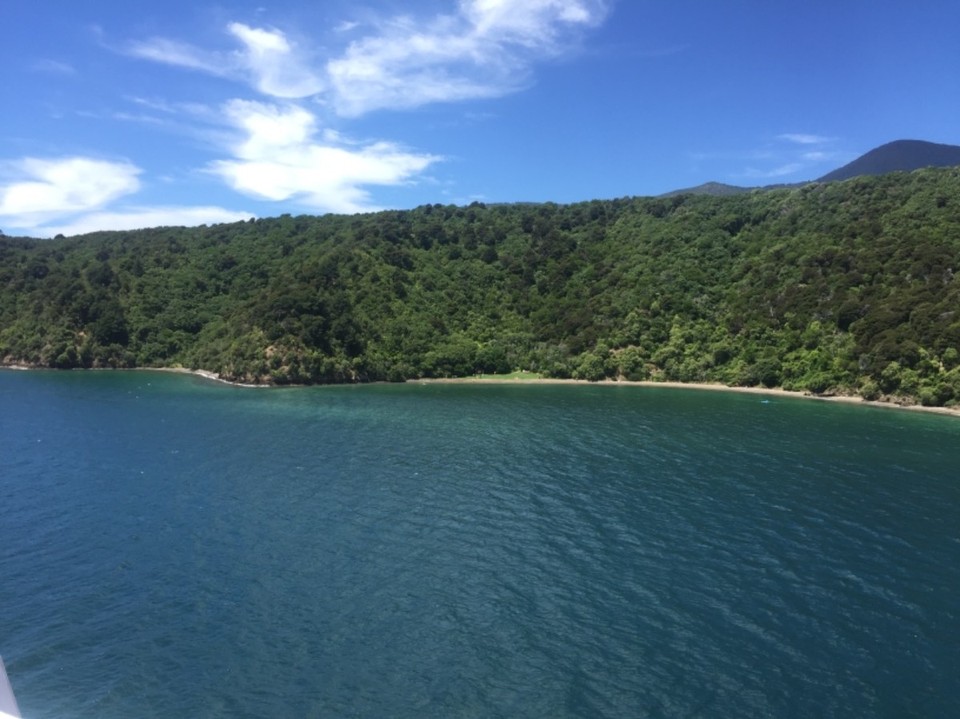 Neuseeland - Wellington - 