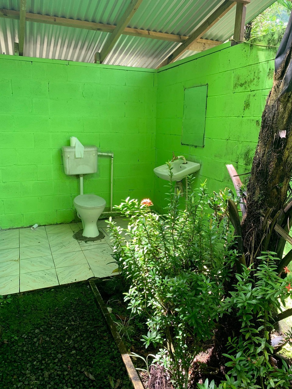 Samoa -  - Garden toilet 