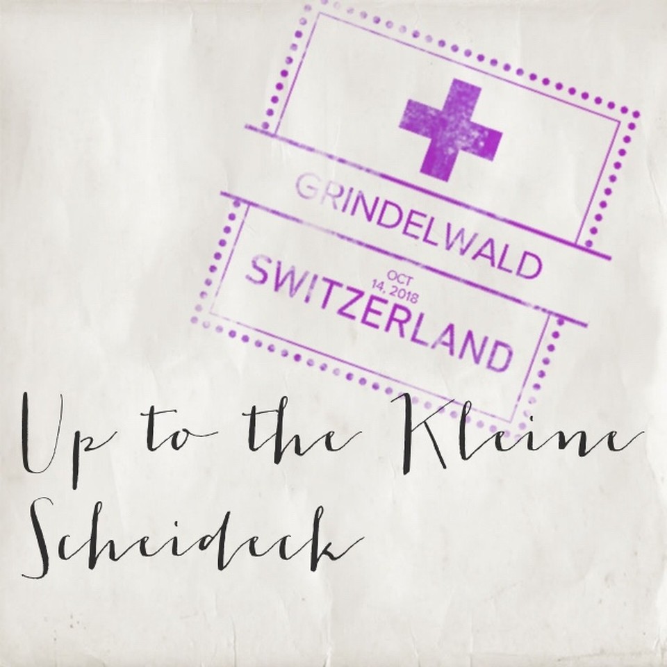 Schweiz - Grindelwald - 