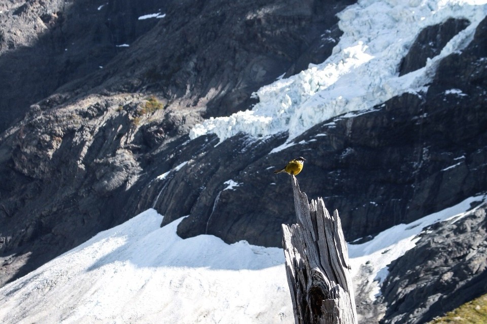 Chile - Torres del Paine - 