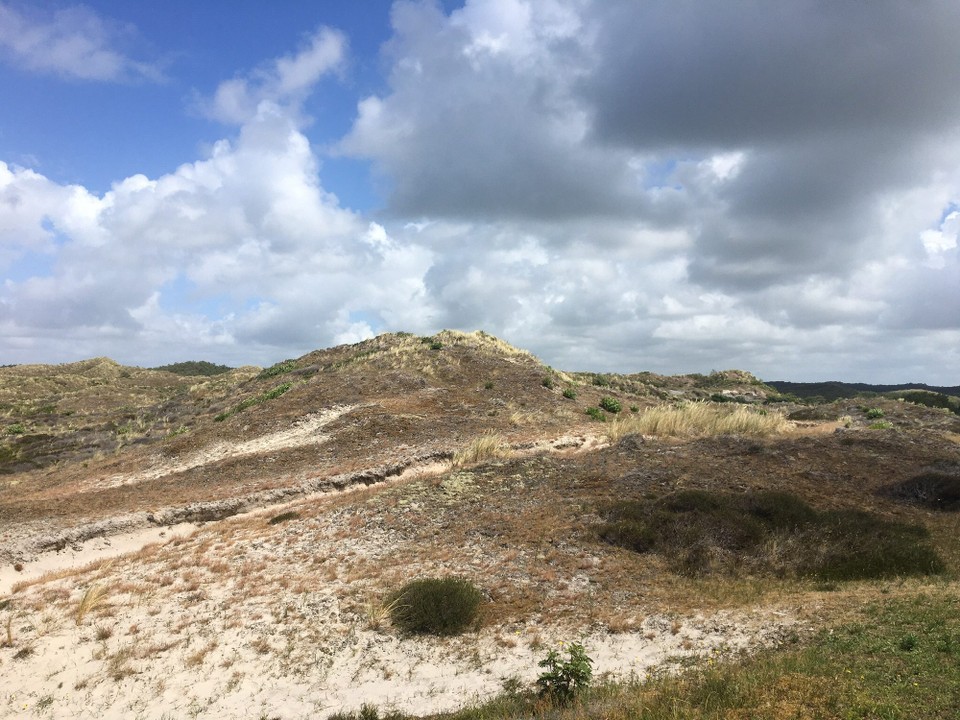 Niederlande - Schoorl - 