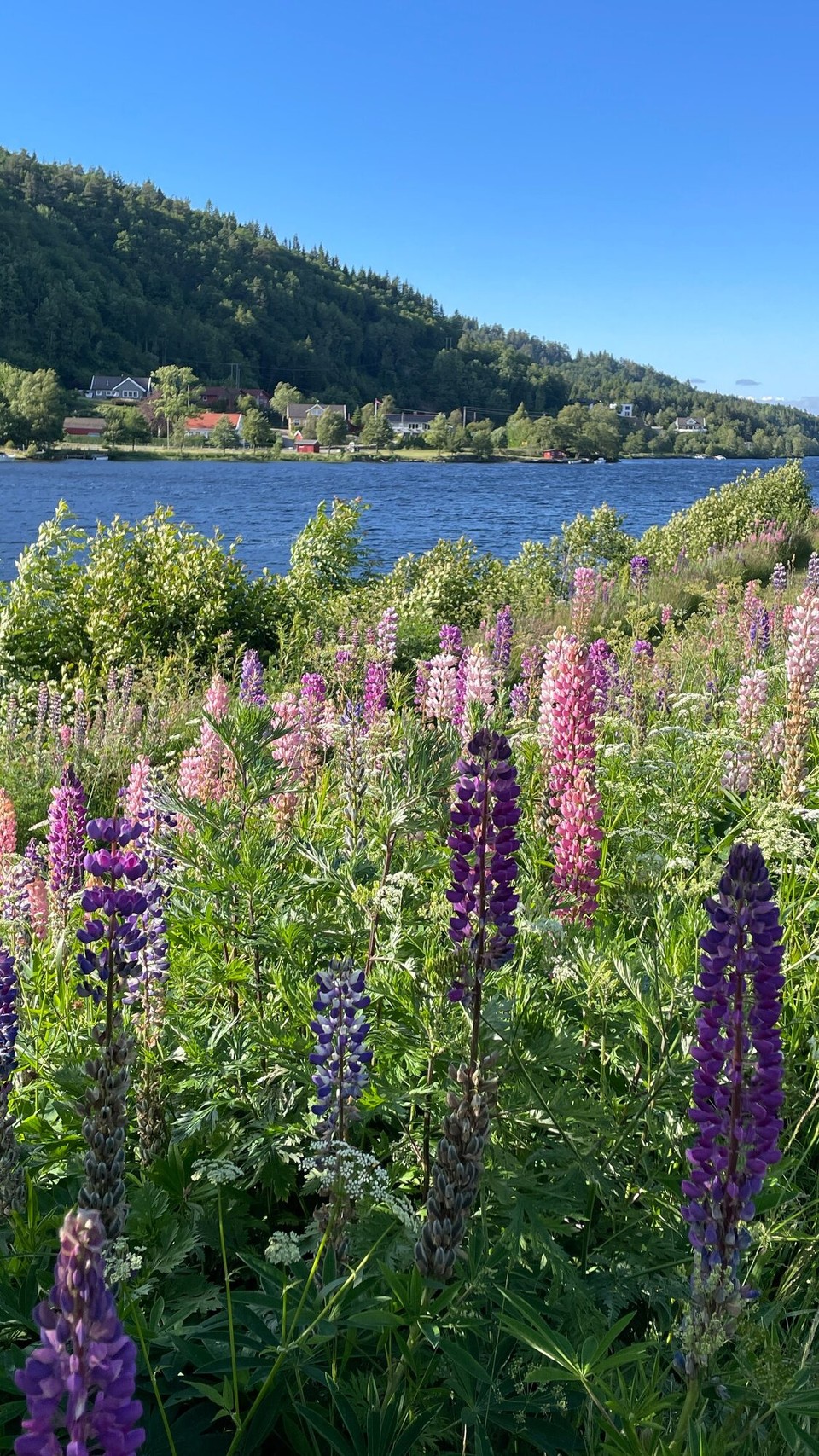 Norwegen - Mandal - 