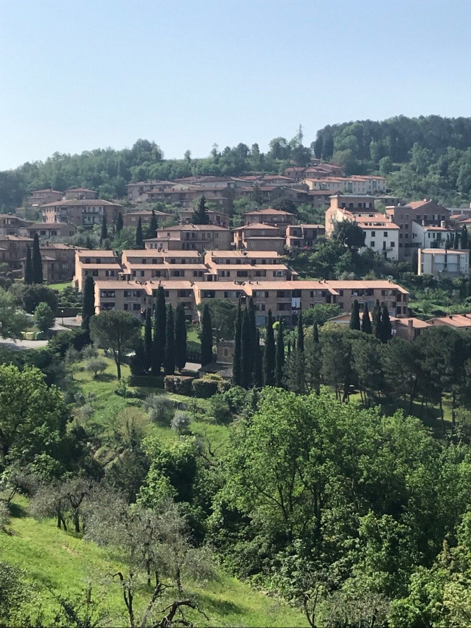 Italien - Montalcino - 