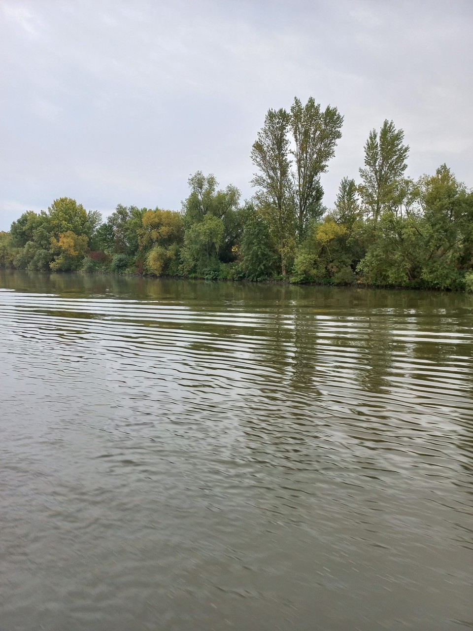 Deutschland - Frankfurt am Main - Main