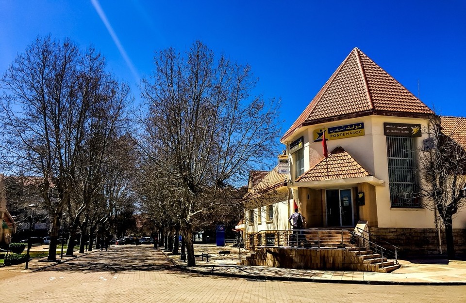 Marokko - Fès - Schön in Reih' und Glied präsentiert sich die Botanik in Ifrane. 