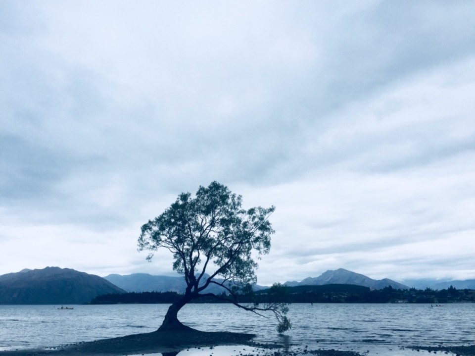 Neuseeland - Wanaka - 