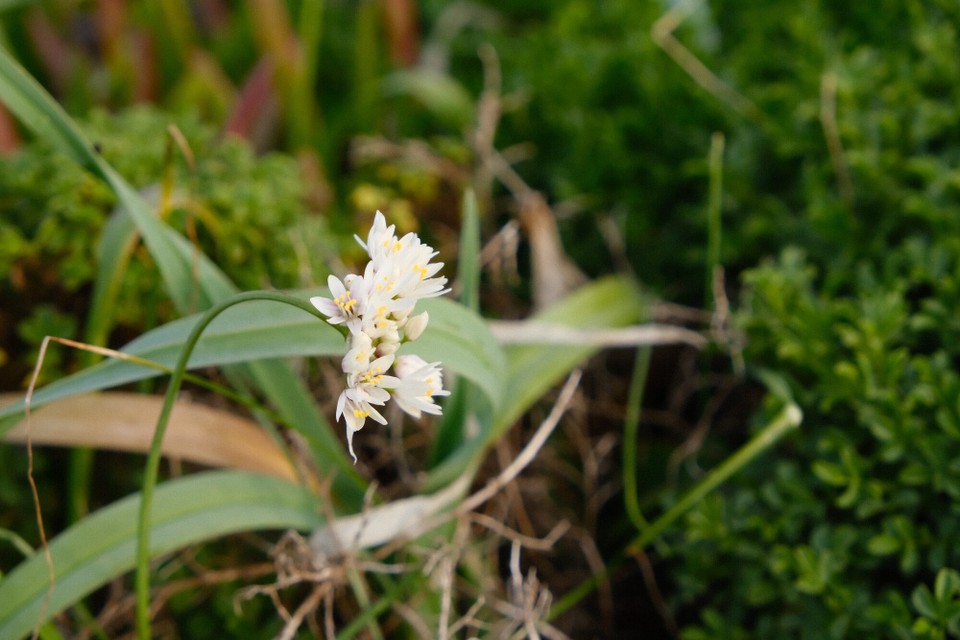 Portugal - Aljezur - 