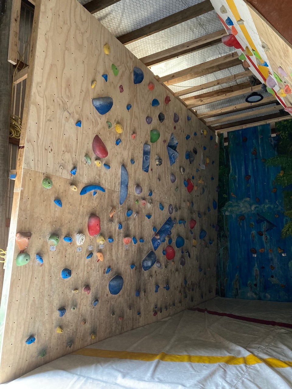 Neuseeland - Wakefield - Hat auch seine Vorteile in einem Schuppen zu wohnen, da hat man eben gleich seine Kletterhalle im Hinterzimmer 😂🤪