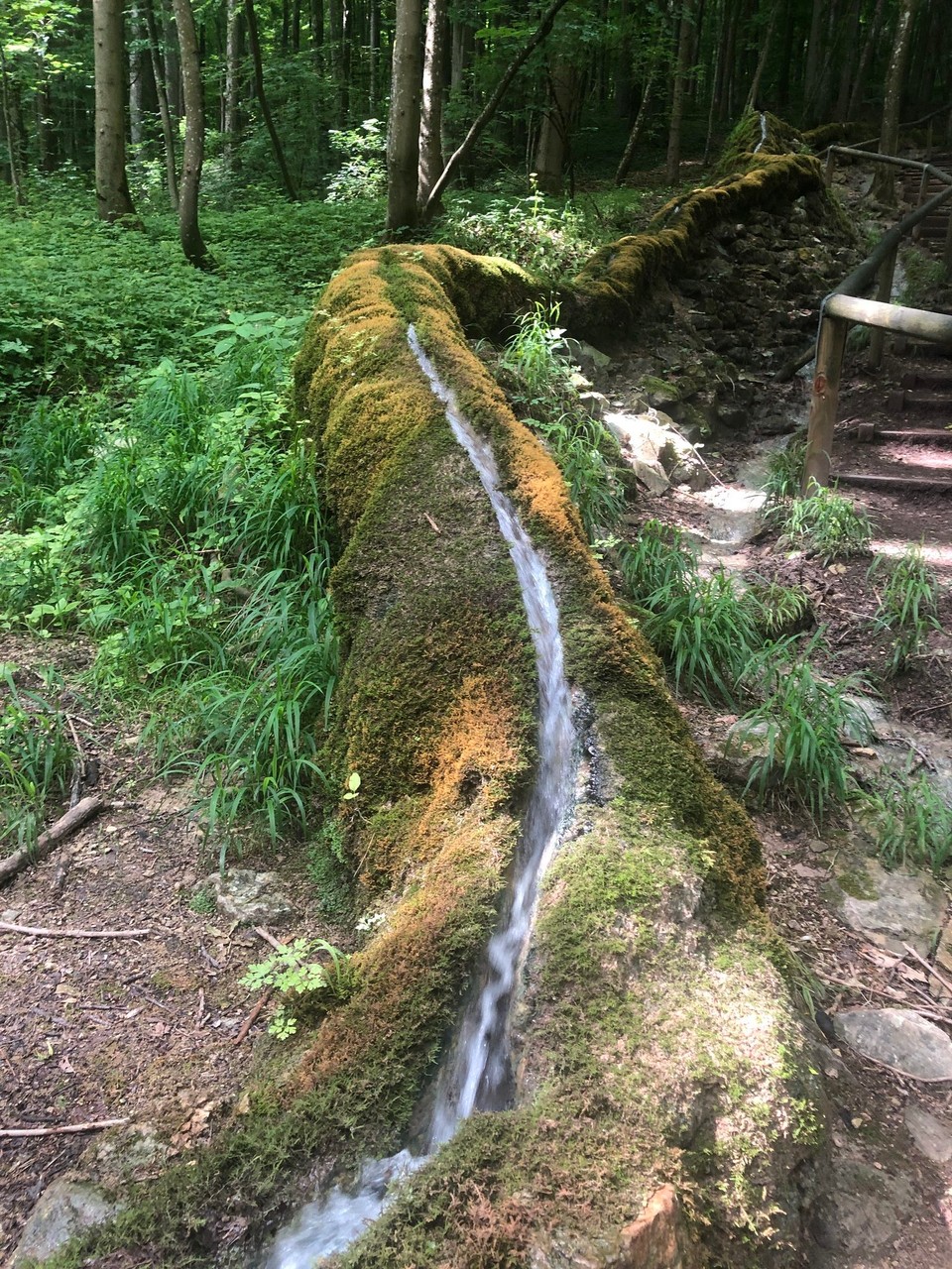 Deutschland - Treuchtlingen - 