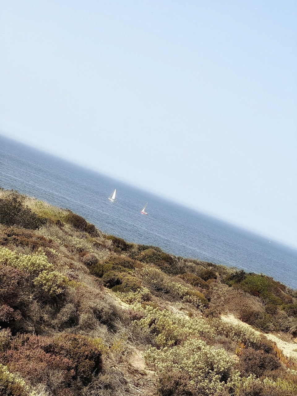 Portugal - Zambujeira do Mar - 