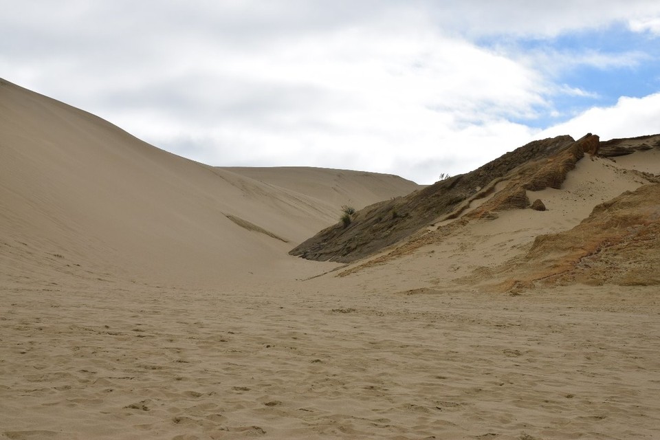 Neuseeland - Cape Reinga - 