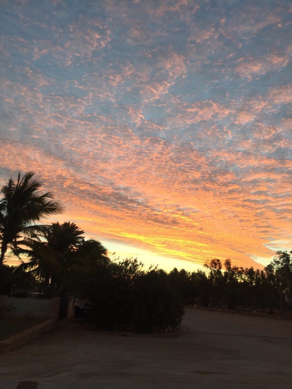 Australien -  - 🌅