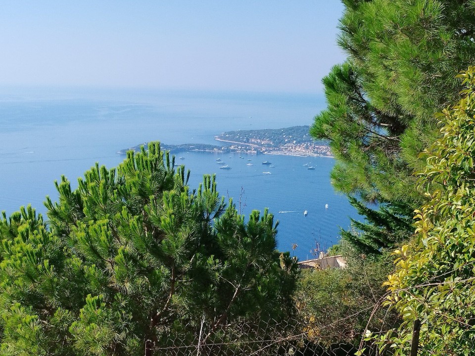 Monaco - Monaco-Ville - 