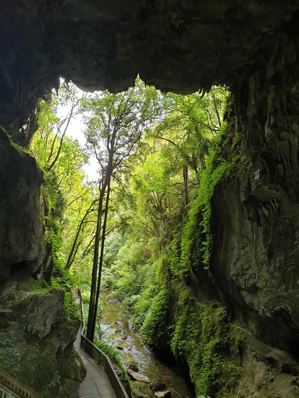 Neuseeland - Waitomo-Distrikt - Natural Bridge in Arapuni!:)