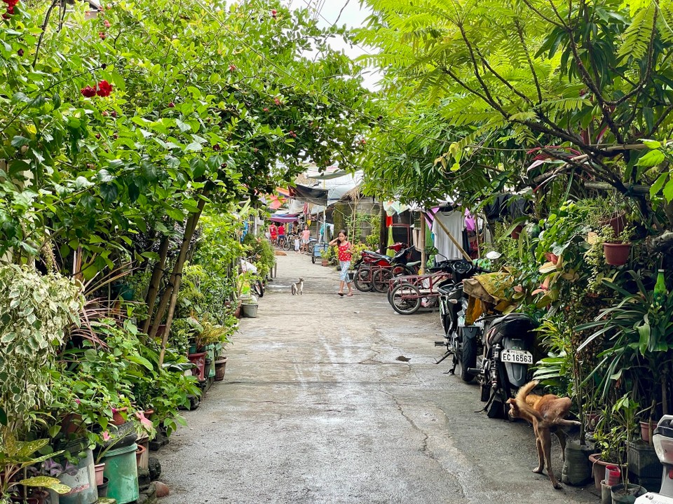 Philippinen - Donsol - 