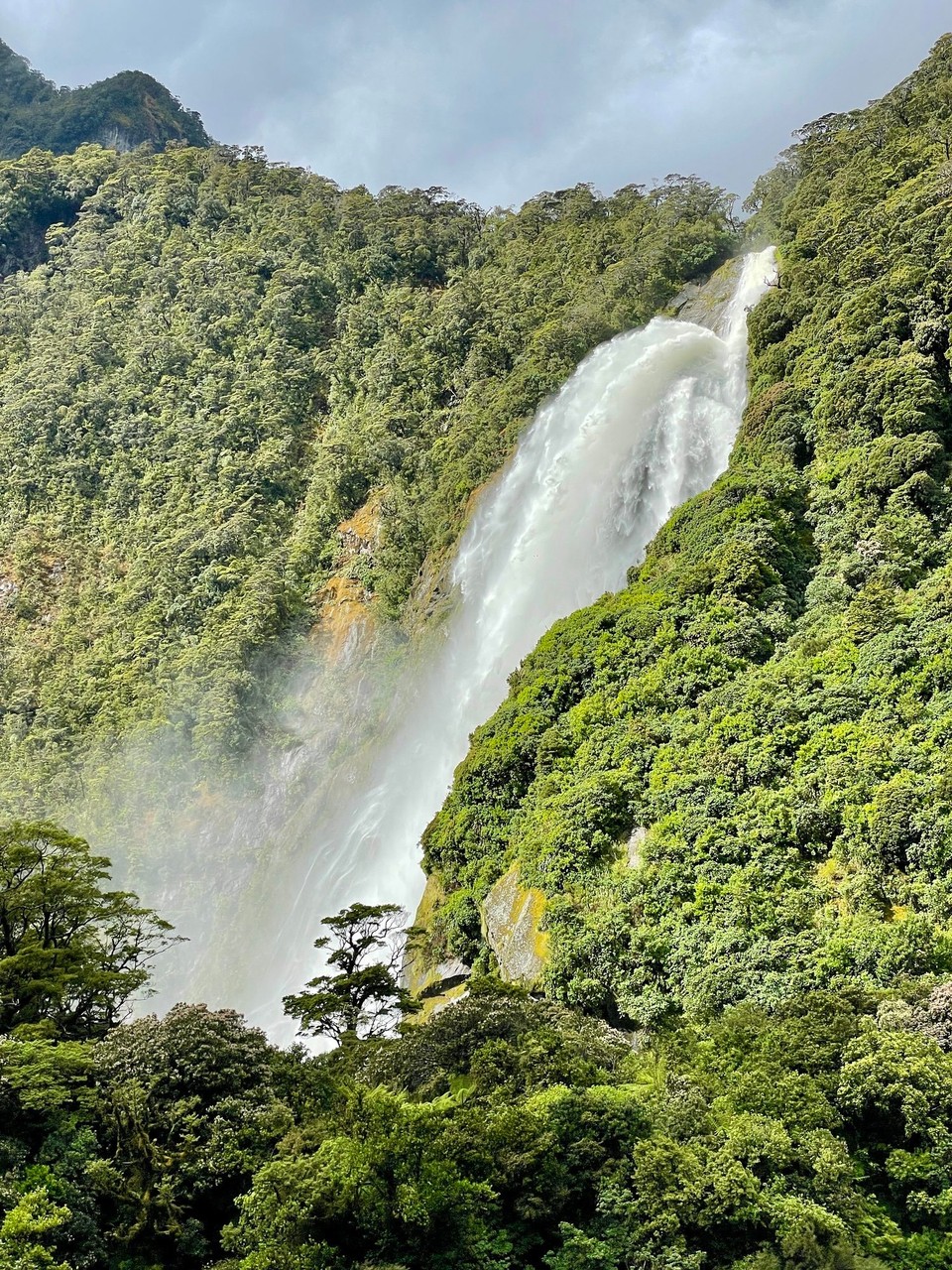 Neuseeland - Milford Sound - 