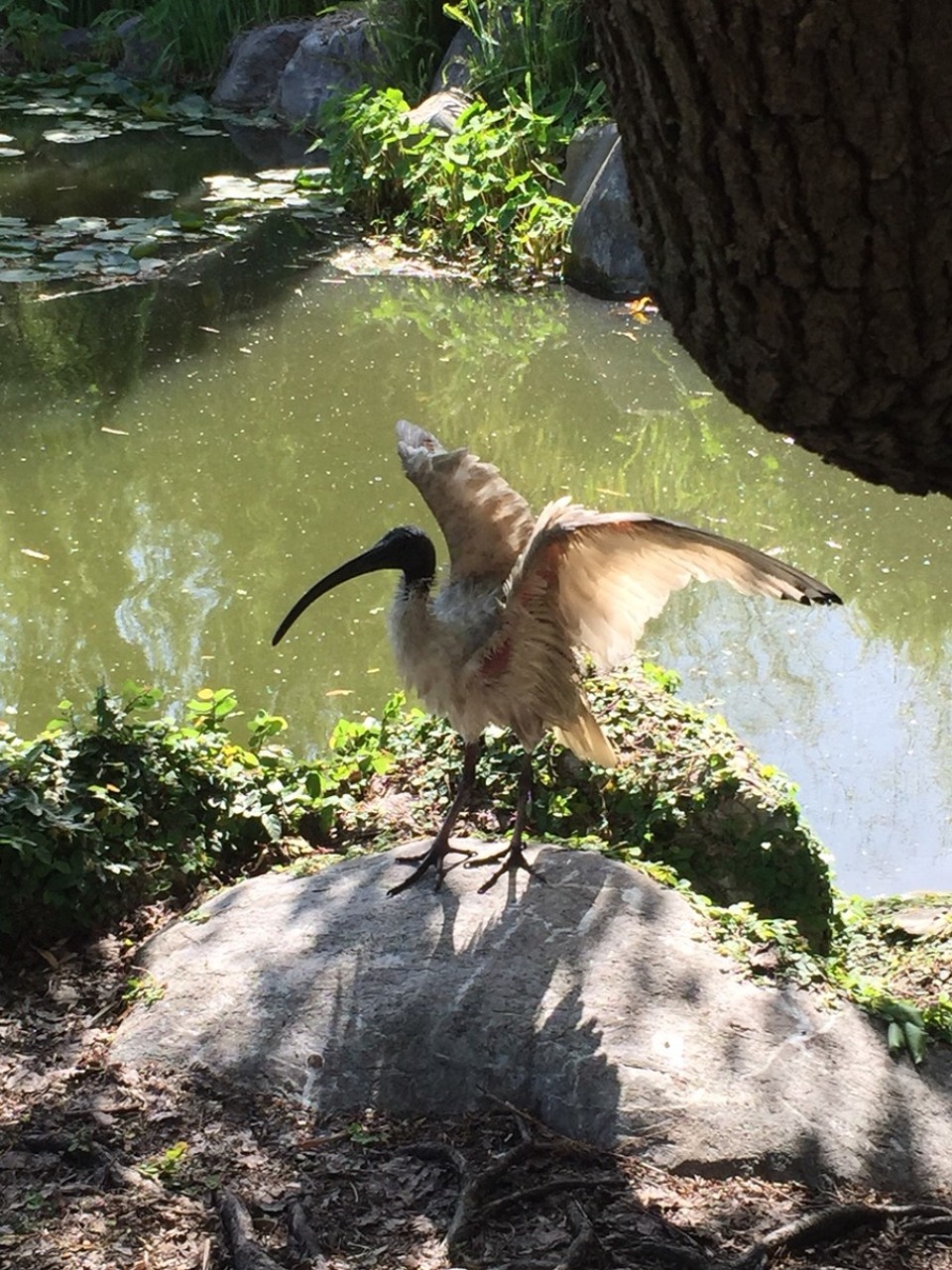 Australien - Sydney - 